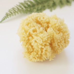 Esponja natural - Imagen 2