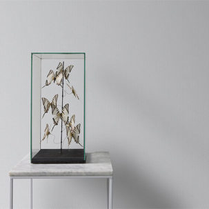 Papel pintado infantil topitos grises fondo blanco - Imagen 2