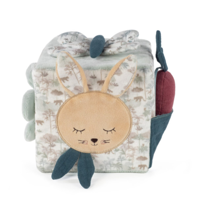 Cubo de actividades Rabbit Serengueti