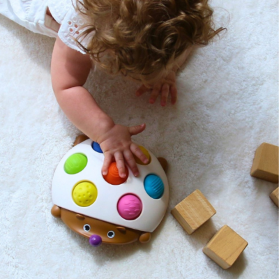 Erizo con botones - Imagen 3