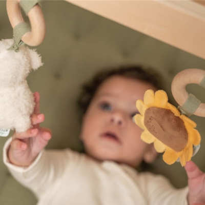 Gimnasio de actividades pequeña granja - Imagen 7