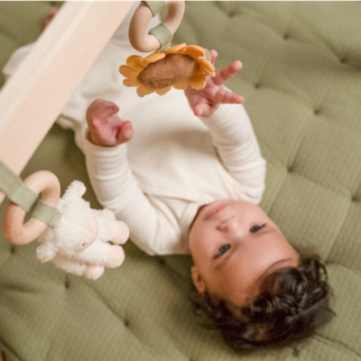 Gimnasio de actividades pequeña granja - Imagen 5