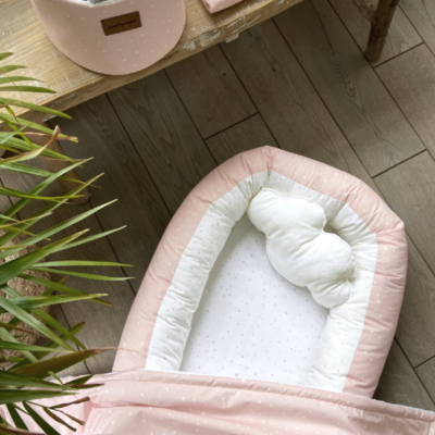 Cesta Cosmos rosa - Imagen 2