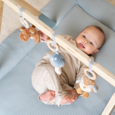 Gimnasio de actividades Forest Friends - Imagen 12