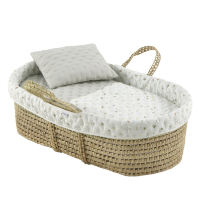 Moisés de palma Branch House mint