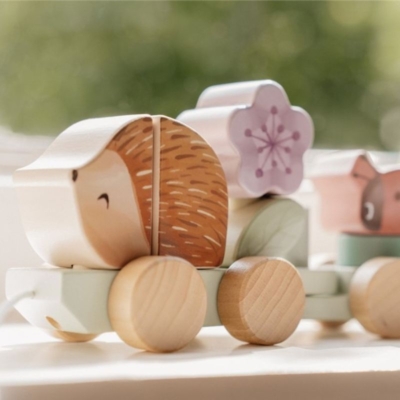 Tren de madera Erizo Fairy Garden - Imagen 6