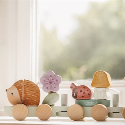 Tren de madera Erizo Fairy Garden - Imagen 5