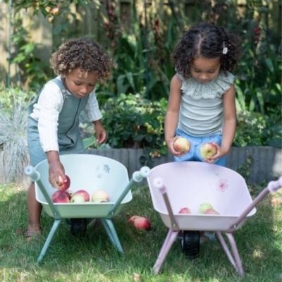 Carretilla Fairy Garden - Imagen 5