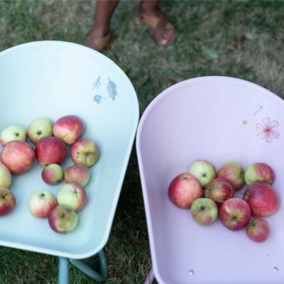 Carretilla Fairy Garden - Imagen 8