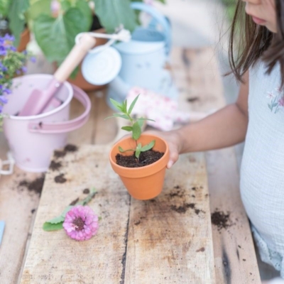 Cubo metal Fairy Garden - Imagen 5