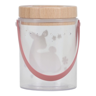 Tarro para insectos Fairy Garden - Imagen 12