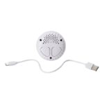 Luz compañia musical Conejito - Imagen 6